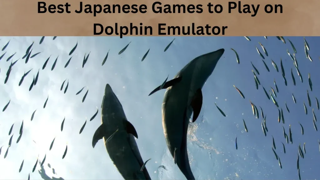 Best Japanese Games to Play on Dolphin Emulator