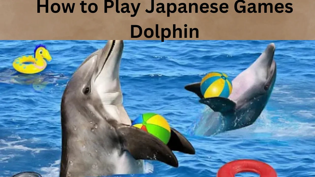 How to Play Japanese Games Dolphin