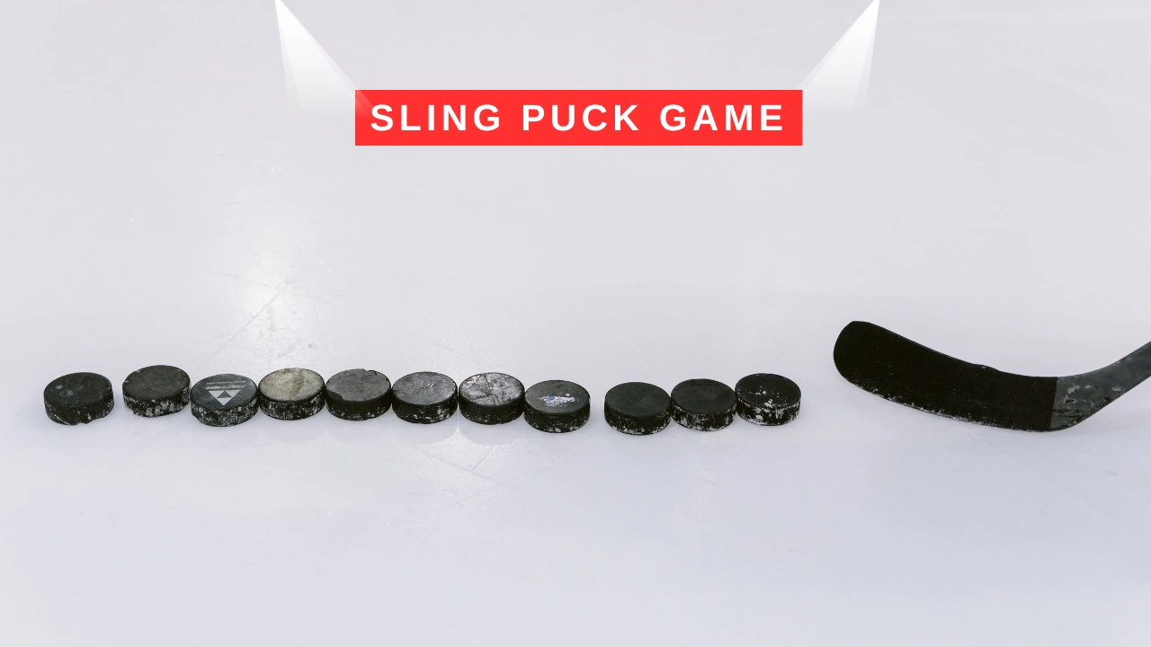 Sling Puck Game
